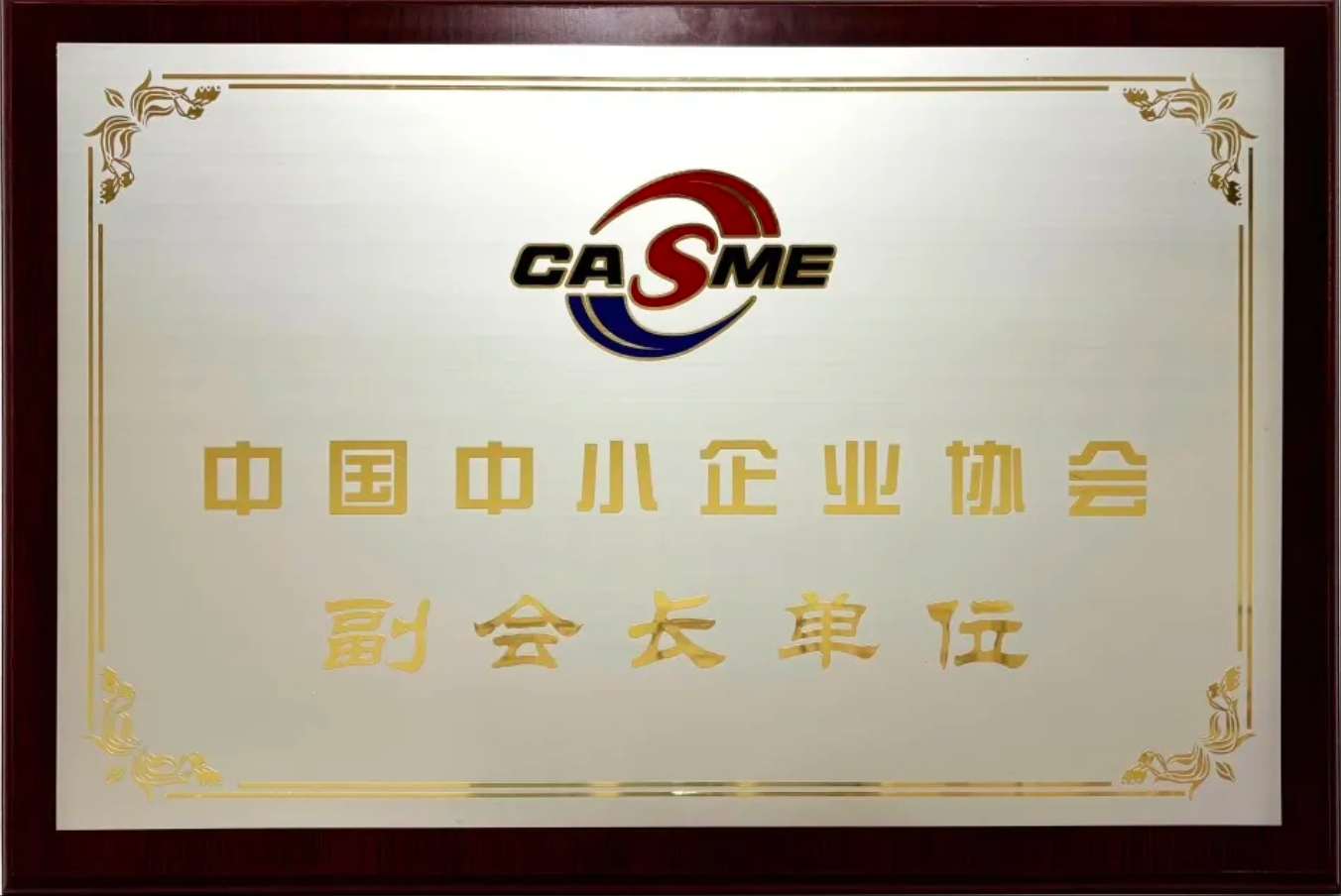 喜报！光环云数据有限公司当选中国中小企业协会副会长单位